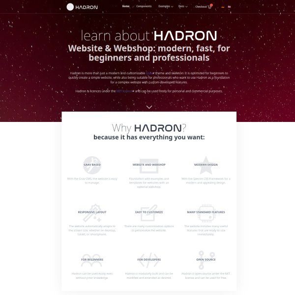 Hadron